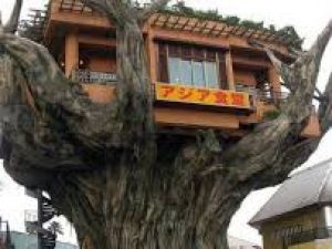 İlginç ağaç evler