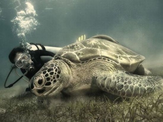 Dünya'dan sıradışı resimler galerisi resim 1