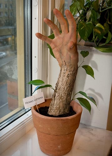 Dünya'dan sıradışı resimler galerisi resim 8