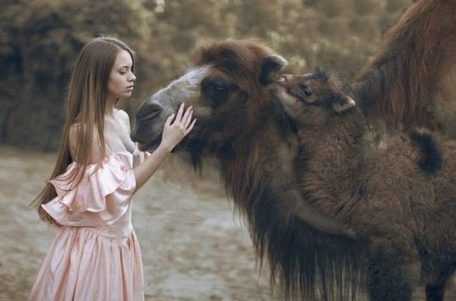 Photoshop da yok hilede yok galerisi resim 16