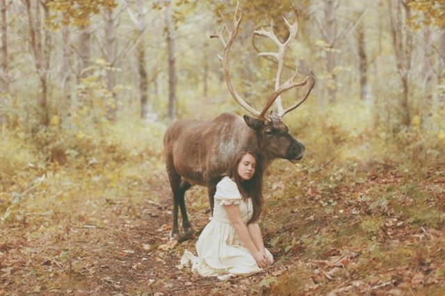 Photoshop da yok hilede yok galerisi resim 17