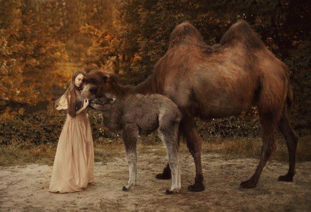 Photoshop da yok hilede yok galerisi resim 3