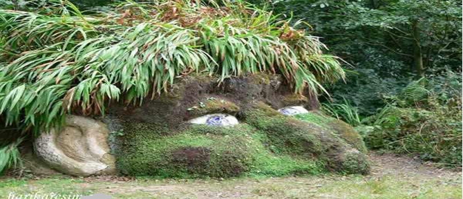 En ilginç komik resimler galerisi resim 2