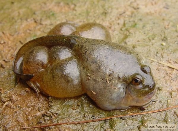 En ilginç komik resimler galerisi resim 20