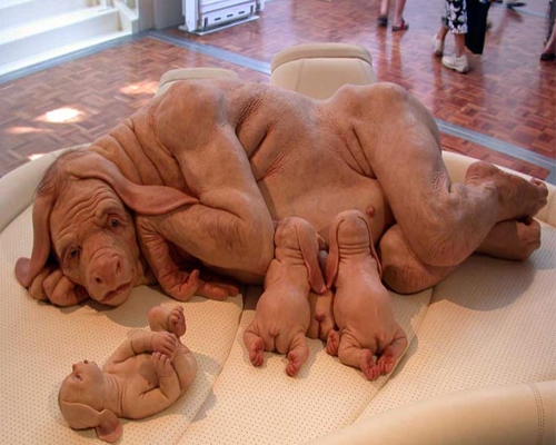 En ilginç komik resimler galerisi resim 4