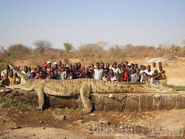 En ilginç komik resimler galerisi resim 7