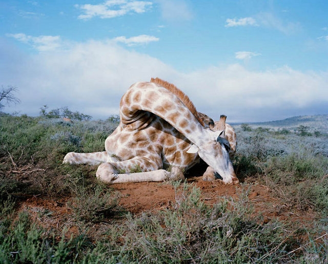 Dünyayı ayağa kaldıran görüntüler galerisi resim 10