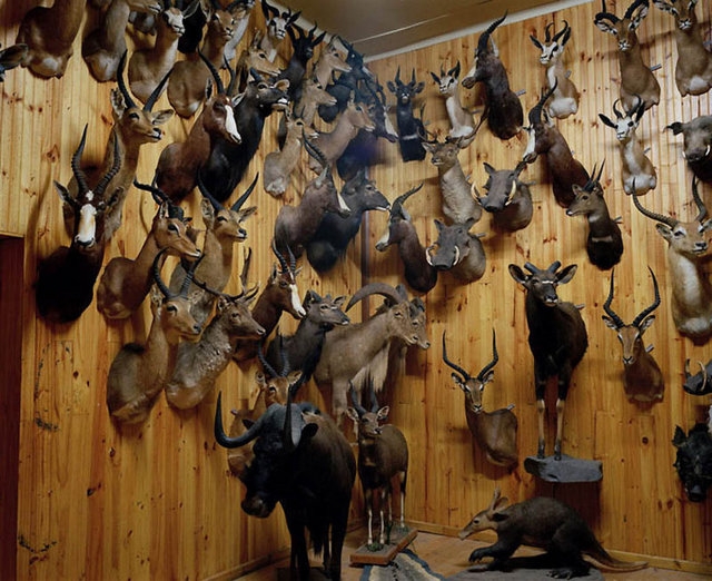 Dünyayı ayağa kaldıran görüntüler galerisi resim 5