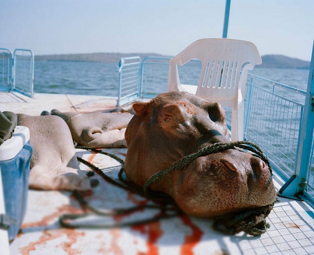 Dünyayı ayağa kaldıran görüntüler galerisi resim 6