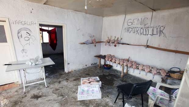 Bunları yiyormuşuz galerisi resim 1