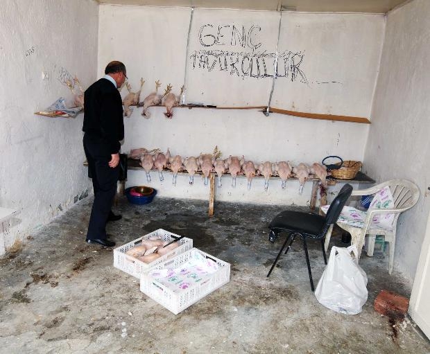 Bunları yiyormuşuz galerisi resim 2