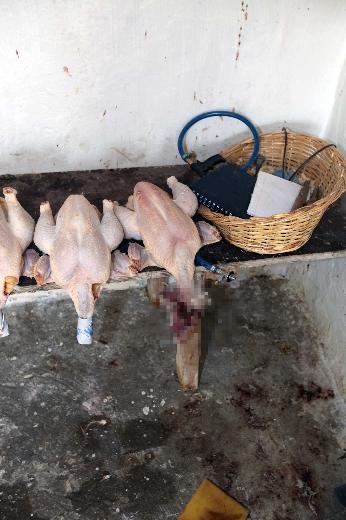 Bunları yiyormuşuz galerisi resim 5