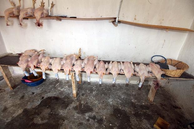 Bunları yiyormuşuz galerisi resim 6