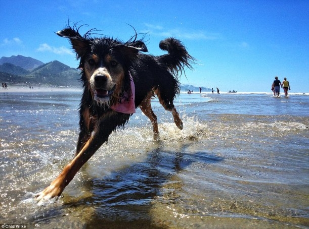 Objektif'lere yakalanan o anlar galerisi resim 10