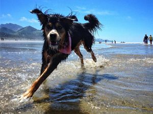 Objektif'lere yakalanan o anlar