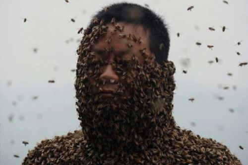 Vücudunu tam 50 bin arıyla kapladı galerisi resim 15