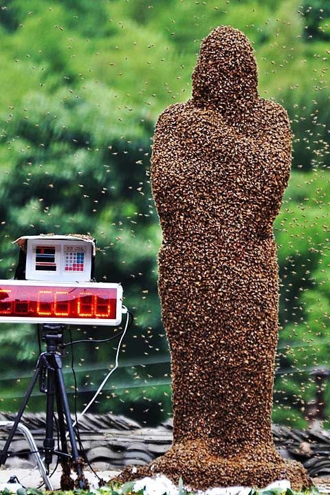 Vücudunu tam 50 bin arıyla kapladı galerisi resim 16