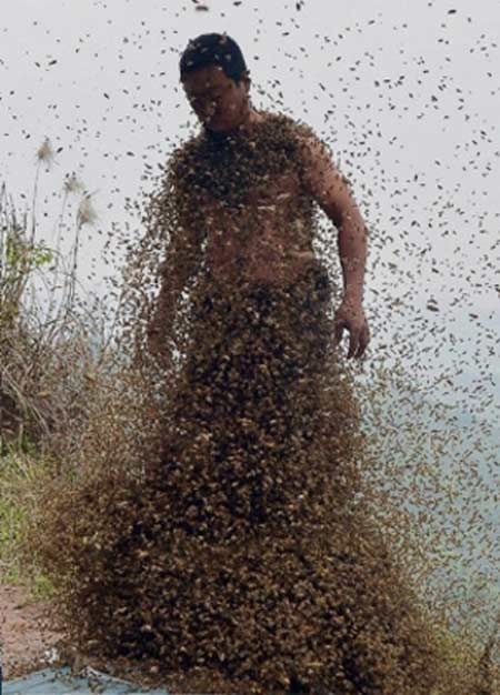 Vücudunu tam 50 bin arıyla kapladı galerisi resim 18