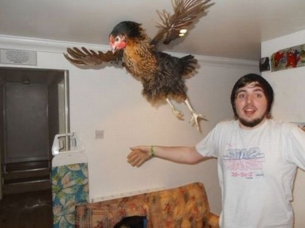 En ilginç fotoğraflar galerisi resim 15