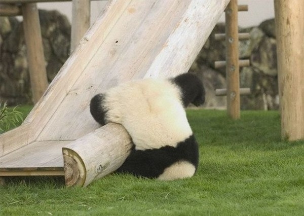 En ilginç fotoğraflar galerisi resim 21