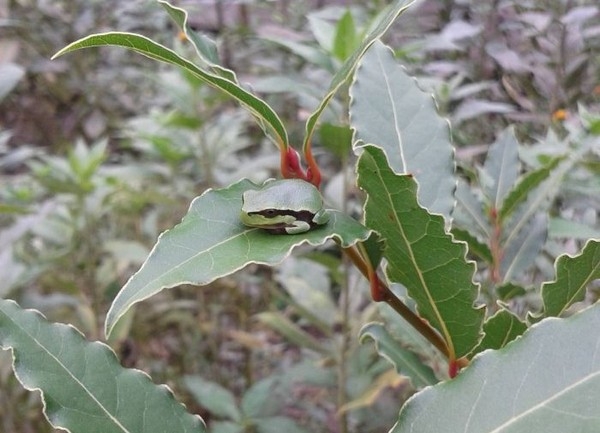 En ilginç fotoğraflar galerisi resim 4