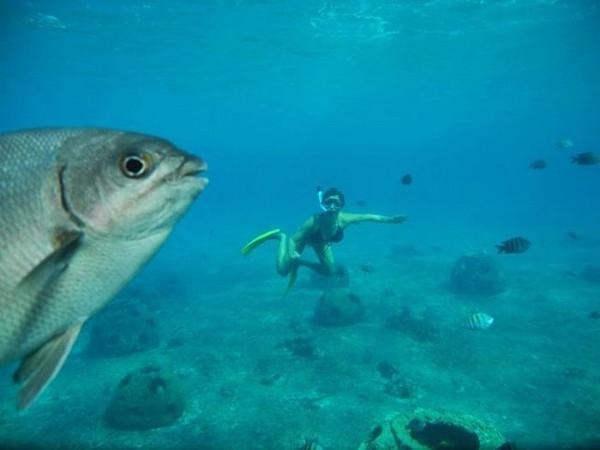 En ilginç fotoğraflar galerisi resim 9