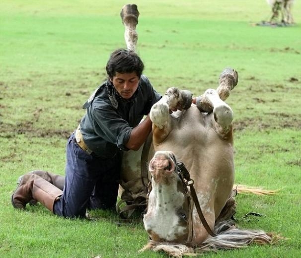Atlarla konuşan adam galerisi resim 12