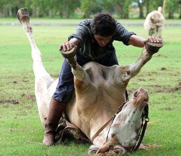 Atlarla konuşan adam galerisi resim 13