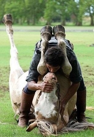 Atlarla konuşan adam galerisi resim 3