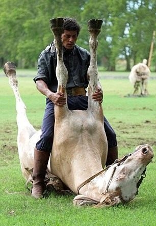 Atlarla konuşan adam galerisi resim 4