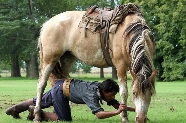 Atlarla konuşan adam galerisi resim 5