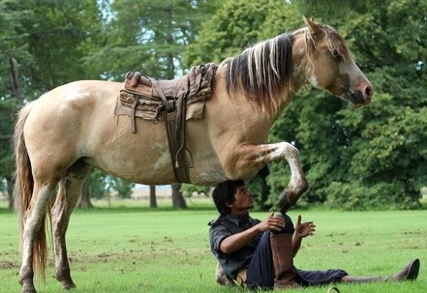 Atlarla konuşan adam galerisi resim 6