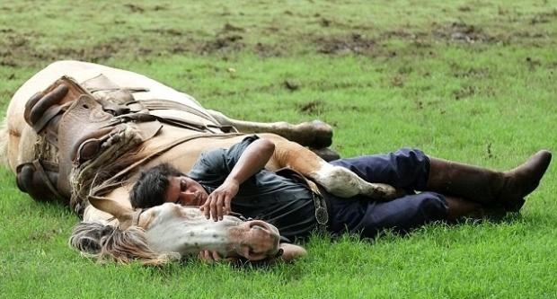 Atlarla konuşan adam galerisi resim 8