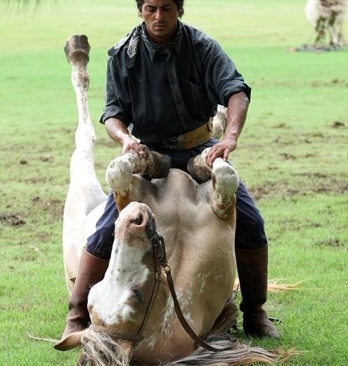Atlarla konuşan adam galerisi resim 9