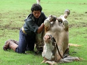 Atlarla konuşan adam