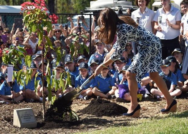 Kraliyet gezisi Kate için işkenceye döndü galerisi resim 6