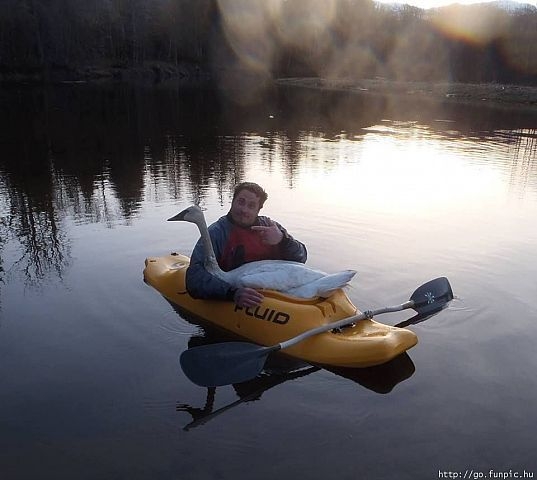Eğlence arıyorsanız... galerisi resim 26