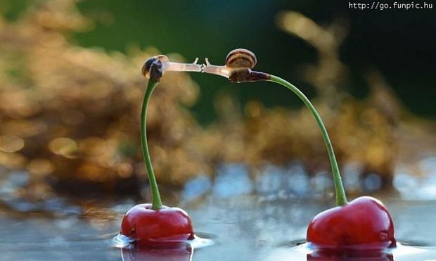 Eğlence arıyorsanız... galerisi resim 28