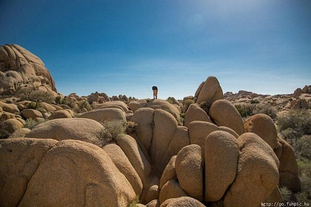 Eğlence arıyorsanız... galerisi resim 30