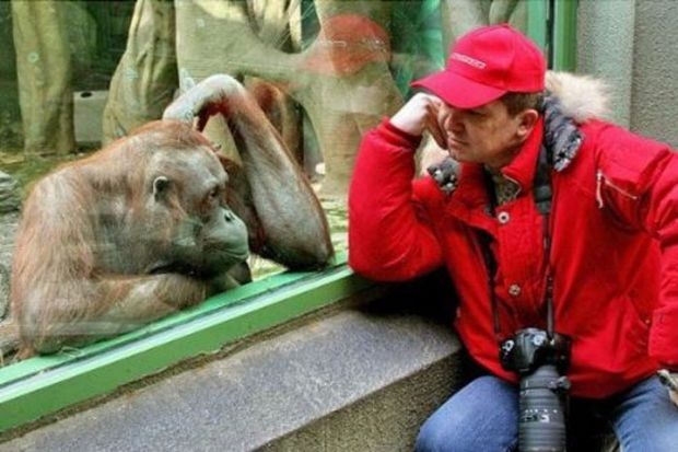 Eğlence arıyorsanız... galerisi resim 41