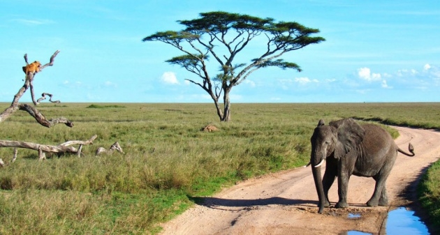Korkudan bakın ne yaptı galerisi resim 7