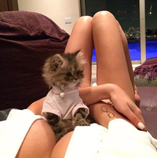 İşte bu yüzden 'ınstagram'ın kralı' galerisi resim 35