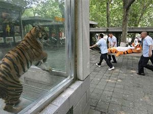 Açıklanamayan fotoğraflar