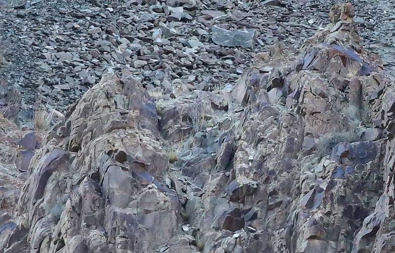 Onları siz de göremeyeceksiniz! galerisi resim 1