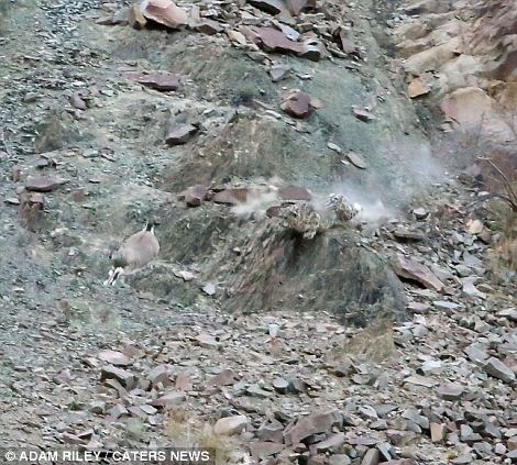 Onları siz de göremeyeceksiniz! galerisi resim 10