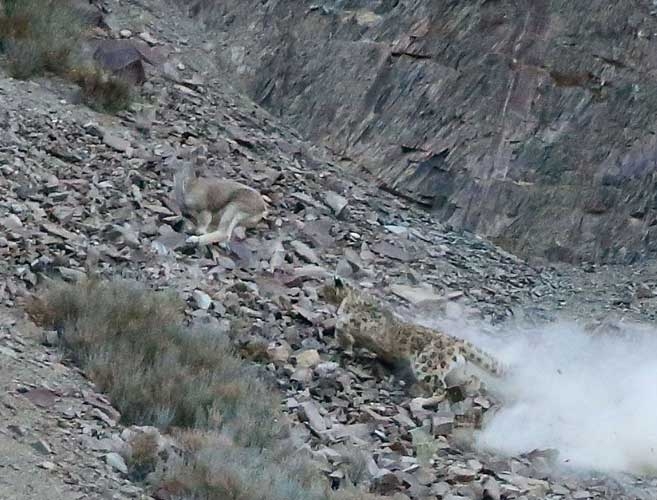 Onları siz de göremeyeceksiniz! galerisi resim 11