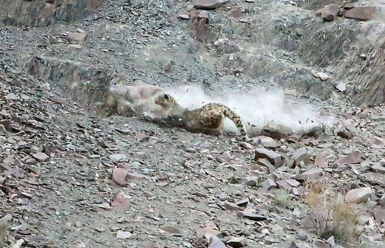 Onları siz de göremeyeceksiniz! galerisi resim 12