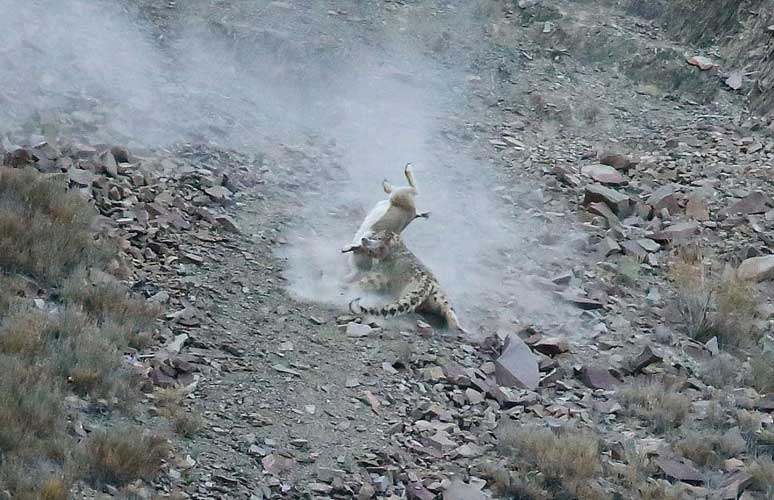 Onları siz de göremeyeceksiniz! galerisi resim 13