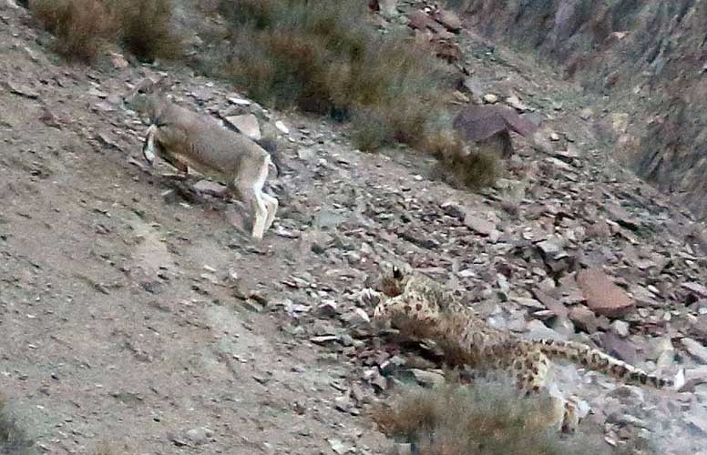 Onları siz de göremeyeceksiniz! galerisi resim 14
