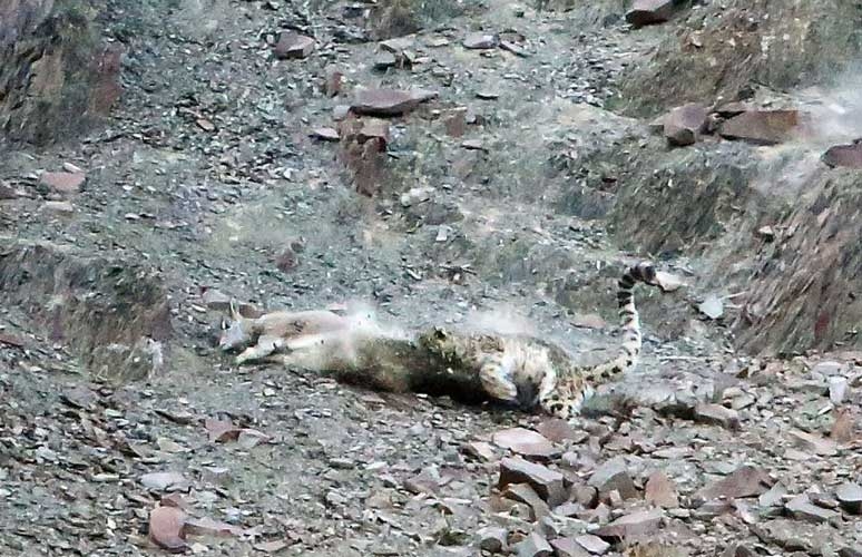 Onları siz de göremeyeceksiniz! galerisi resim 15